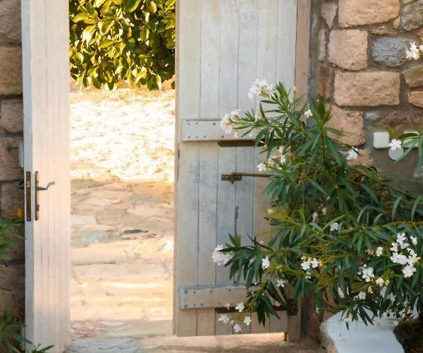 Blue Vista Triple Daire *